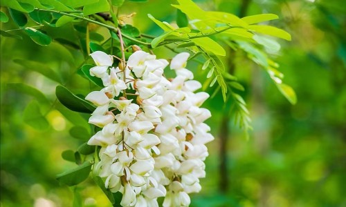 婴儿钙和鱼肝油能一起吃吗-权威宝宝鱼油十大牌子排行榜平台,分享专业宝宝吃鱼肝油补钙吗知识_宝宝鱼油和钙怎么吃法网