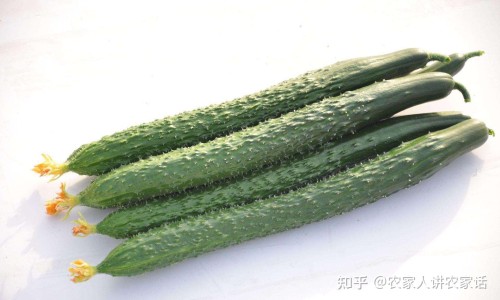 婴儿钙和鱼肝油能一起吃吗-权威宝宝鱼油十大牌子排行榜平台,分享专业宝宝吃鱼肝油补钙吗知识_宝宝鱼油和钙怎么吃法网